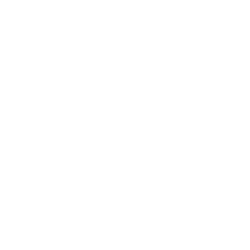 nih-250
