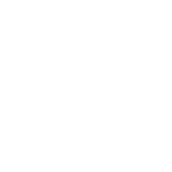 va-250