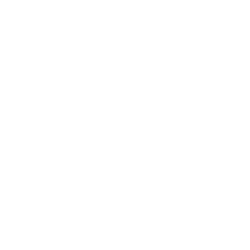 insight-white-2